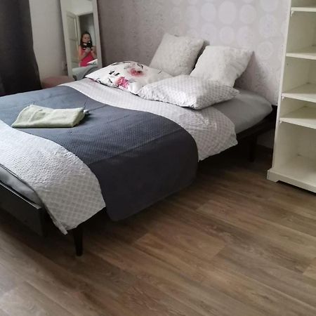 Stylovy Apartman V Centru Nachoda エクステリア 写真