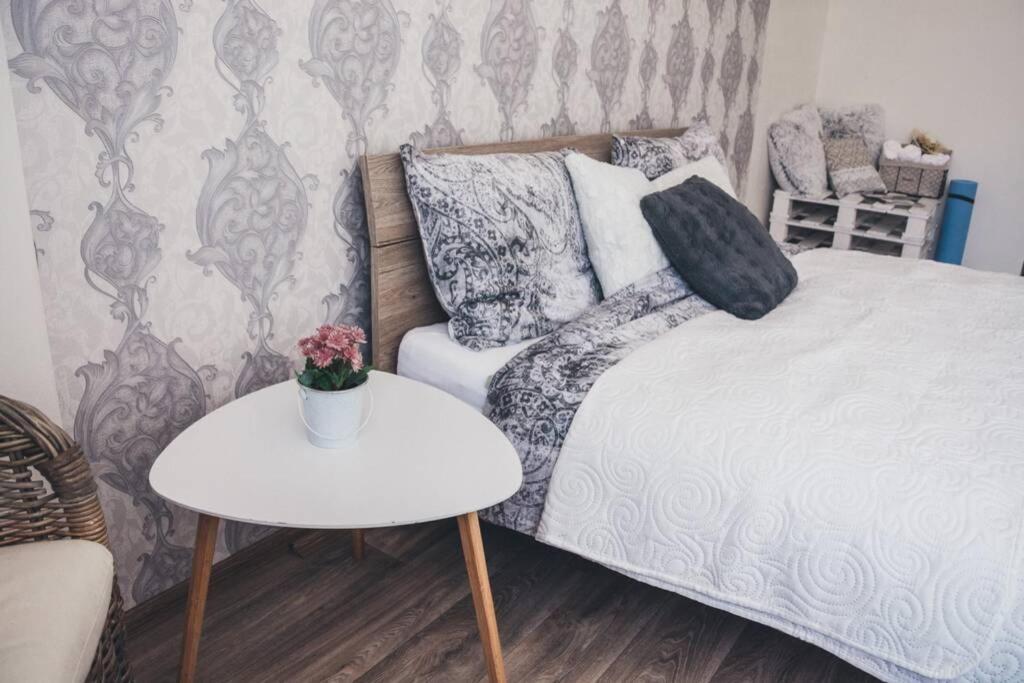 Stylovy Apartman V Centru Nachoda エクステリア 写真