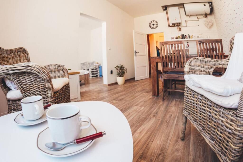 Stylovy Apartman V Centru Nachoda エクステリア 写真